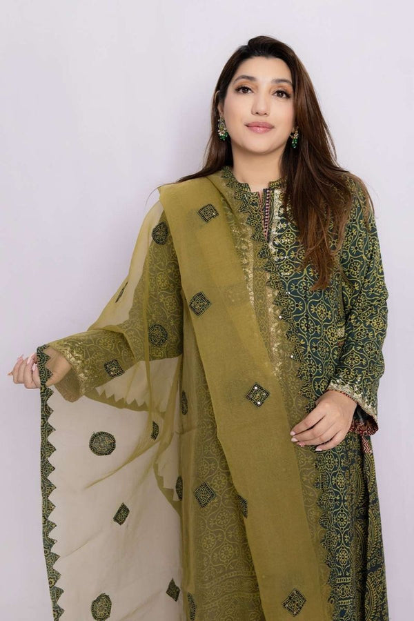 Ajrak Applique Organza Dupatta