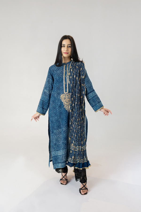 Indigo Ajrak Ari Embroidered Kurta