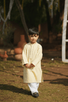 Lime Hand Tarkashi Kurta