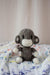 Mischief Monkey Crochet