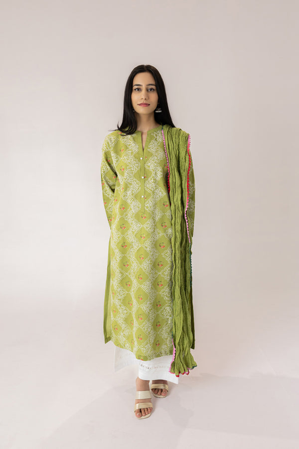 OliveEmbroidered Kurta
