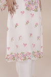 Organza Shadow Work Kurta