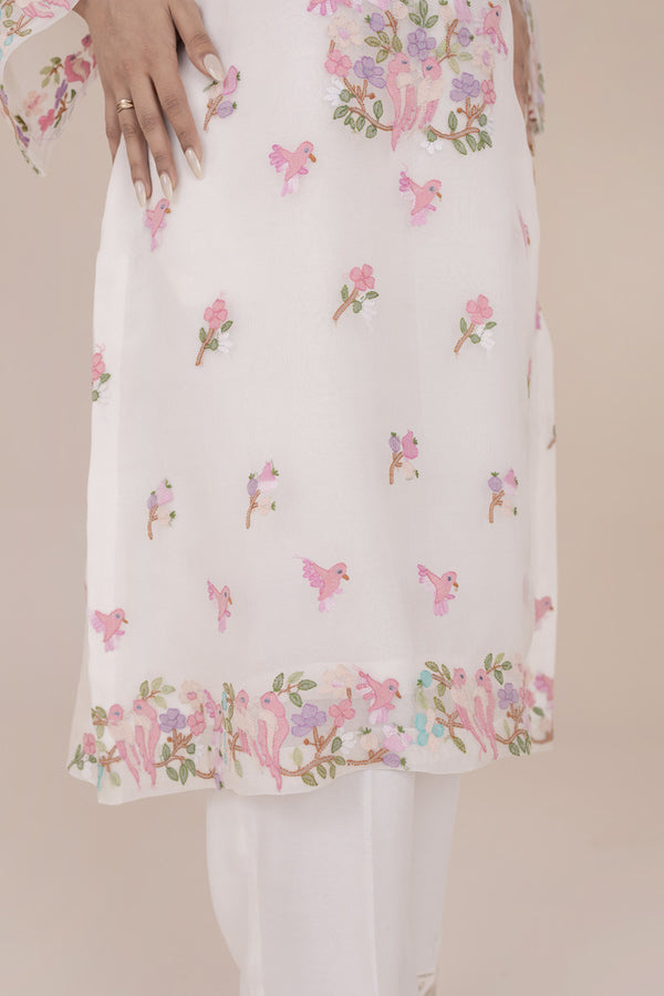 Organza Shadow Work Kurta