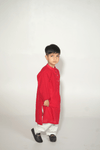 Red Hand Tarkashi Kurta