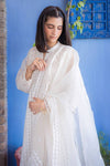 APPLIQUE EMBROIDERED DUPATTA