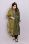 Ajrak Applique Organza Dupatta