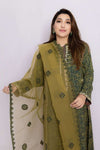 Ajrak Applique Organza Dupatta