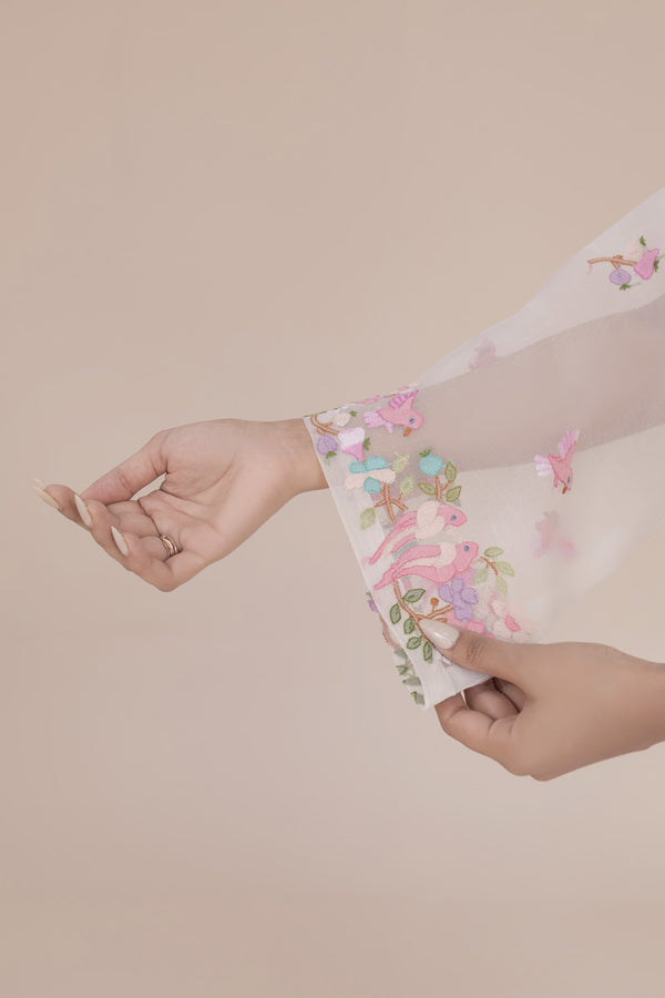 Organza Shadow Work Kurta