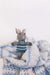 Sky Stripe Bunny